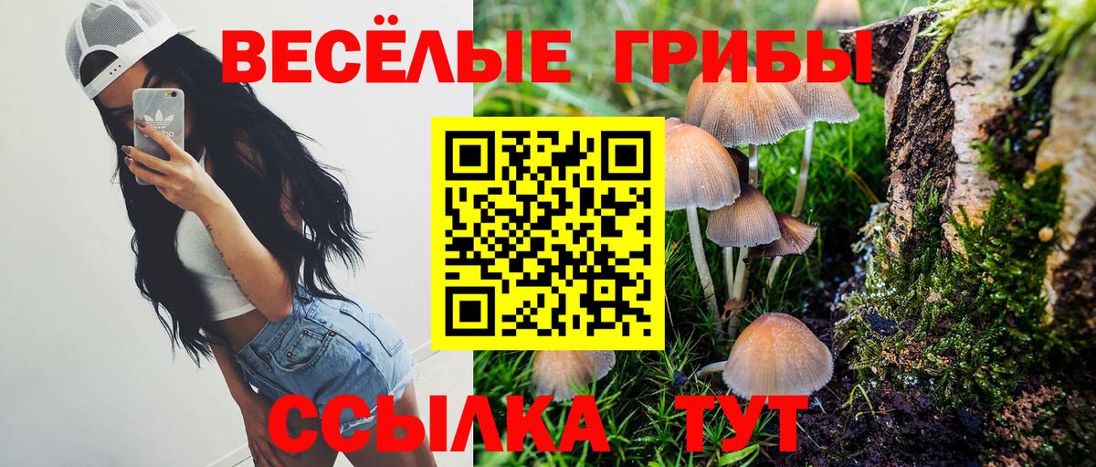 Тейково  Галлюциногенные грибы мицелий  Псилоцибиновые грибы Psilocybine cubensis  Вход с VPN 