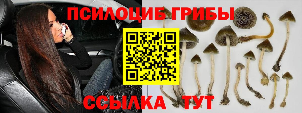 Галлюциногенные грибы ЛСД Тейково