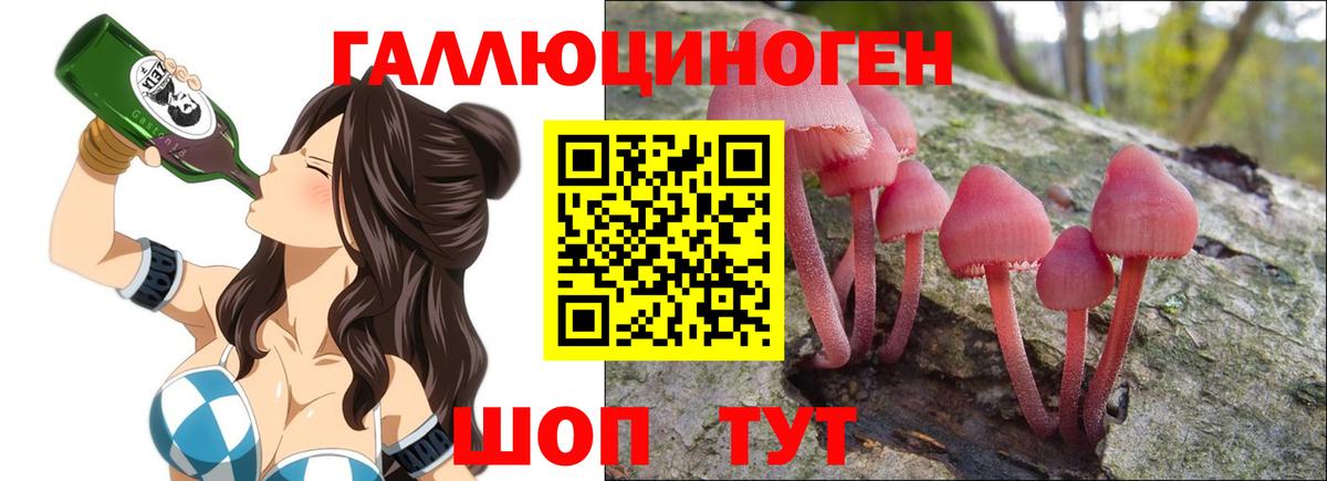 как найти закладки  Тейково  Галлюциногенные грибы мухоморы 